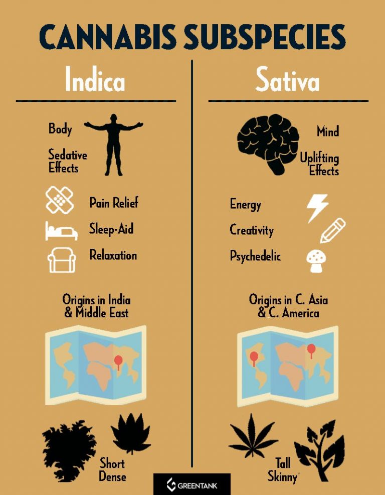 Getting The Best Vapor Flavor For Indica & Sativa | Greentank Tech